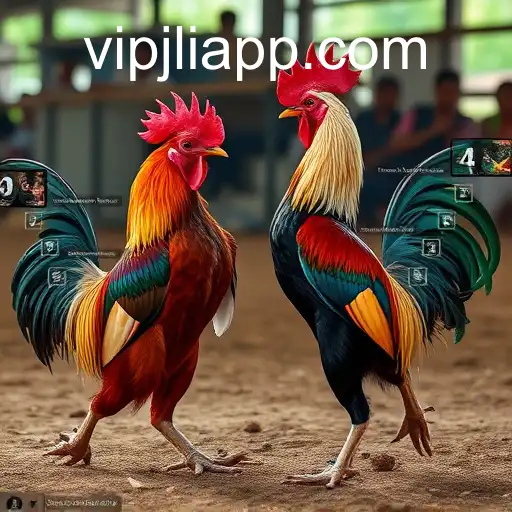 The Intriguing World of Sabong Games: Understanding the Allure of VIPJL